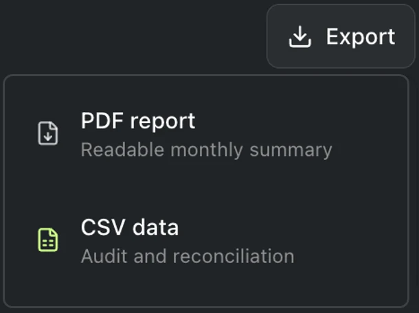 Early Usage report export menu showing PDF report for a readable monthly summary and CSV data for audit and reconciliation workflows
